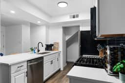 Lavish Escape Steps from Zilker & South Congress